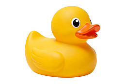 黄色橡胶鸭玩具特写图片