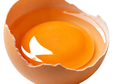 新鲜蛋黄特写图片