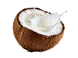 椰子半开牛奶飞溅瞬间