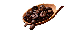 木质勺中盛放的咖啡豆