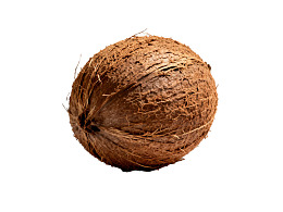 一颗完整的椰子特写图片