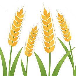 卡通风麦田矢量插画