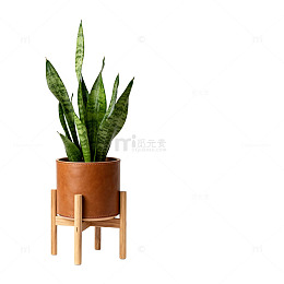 简约现代盆栽设计