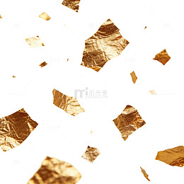 金箔微观结构图像