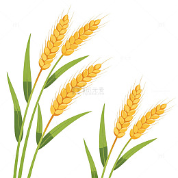 卡通风格小麦插画设计素材