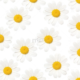 田园风雏菊背景设计素材