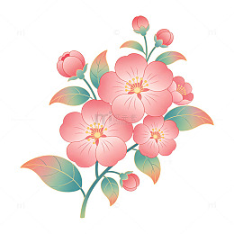 粉色花朵插画设计素材