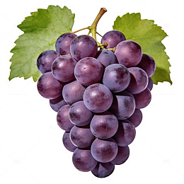 新鲜紫色葡萄特写图片