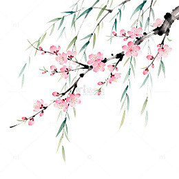 水墨画桃花树枝艺术插图