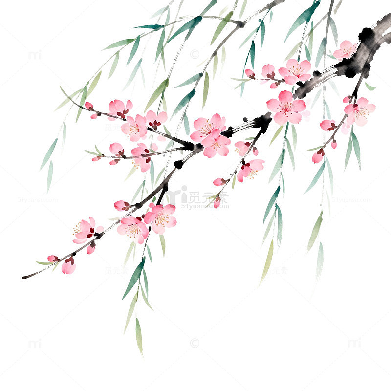 水墨画桃花树枝艺术插图