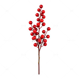 红色浆果枝装饰素材