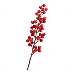 红色浆果枝条装饰
