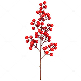 红色浆果枝装饰素材