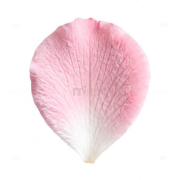 粉色花瓣特写摄影