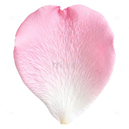 粉色花瓣特写摄影素材