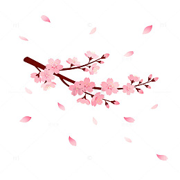 樱花盛开春季插画设计素材