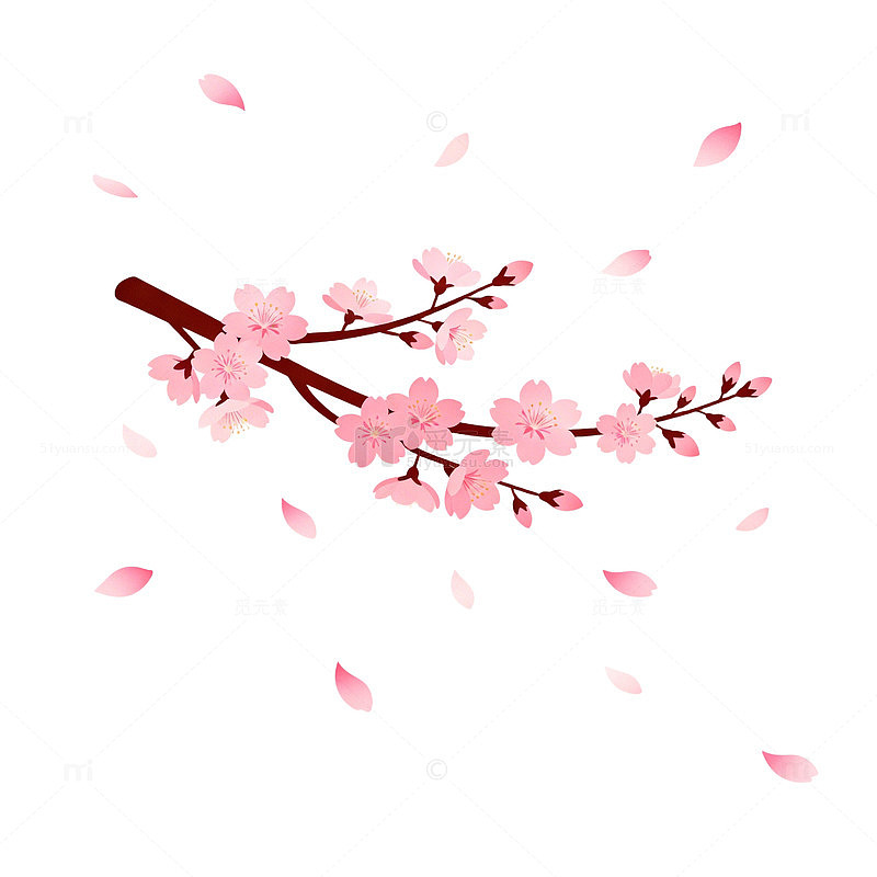 樱花盛开春季插画设计素材