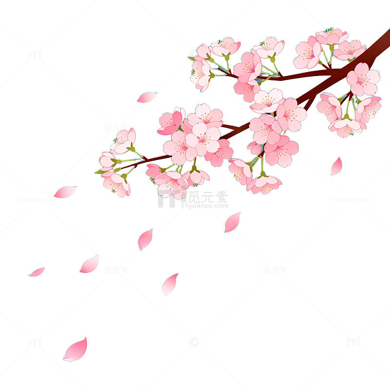 樱花绽放春日风景插画