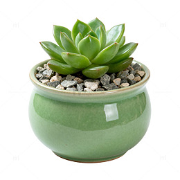 简约绿瓷盆栽多肉植物摆件