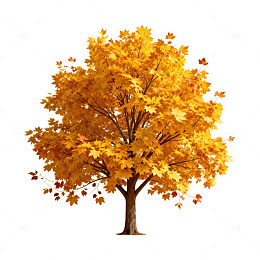 秋意浓枫叶树AI插画