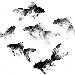 水墨金鱼艺术插画