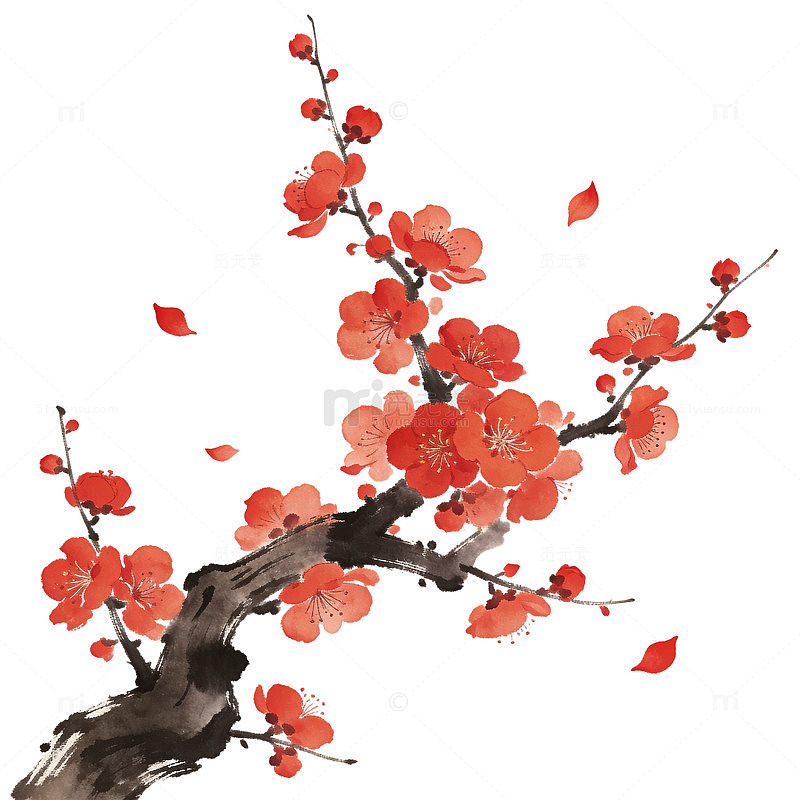 中国传统水墨梅花国画