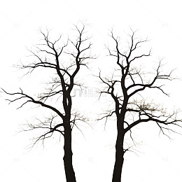 枯树剪影简约背景