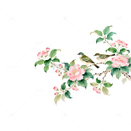 水墨花鸟画欣赏