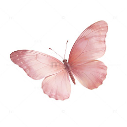 粉色蝴蝶AI艺术照