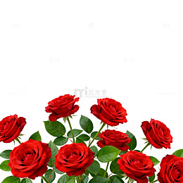 红玫瑰鲜花装饰图案设计素材