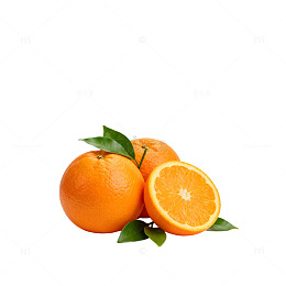 清新橙子摄影素材