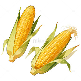 手绘风格玉米插画