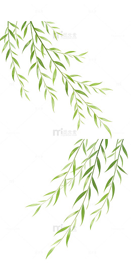 立夏柳叶微风线条风清新自然嫩绿元素