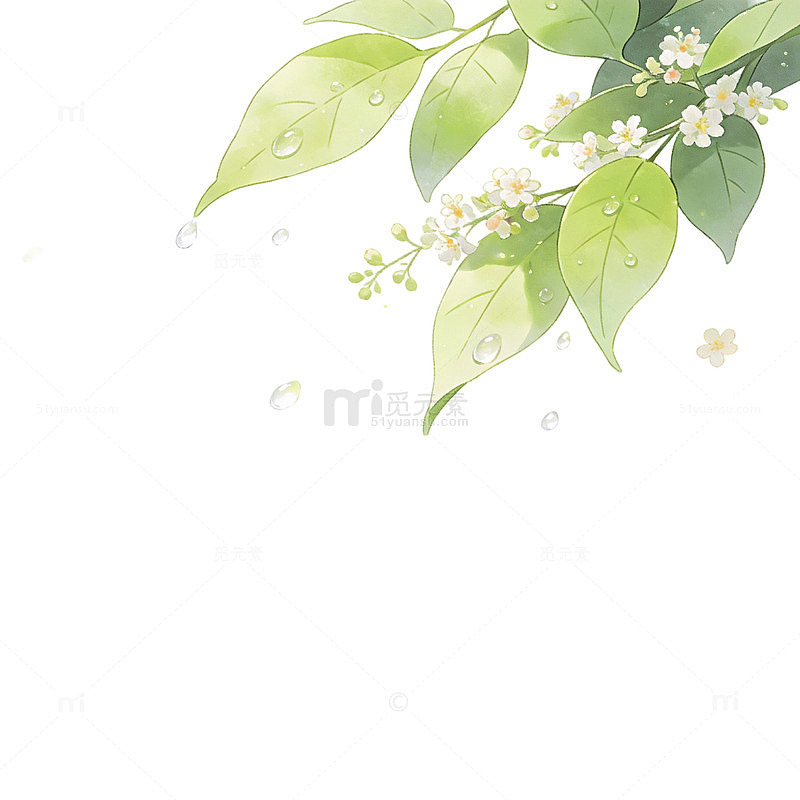 极简立夏插画绿叶消化柔和露珠元素