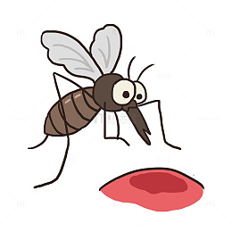 昆虫蚊子叮咬免抠元素