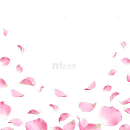 粉红花瓣飘落背景