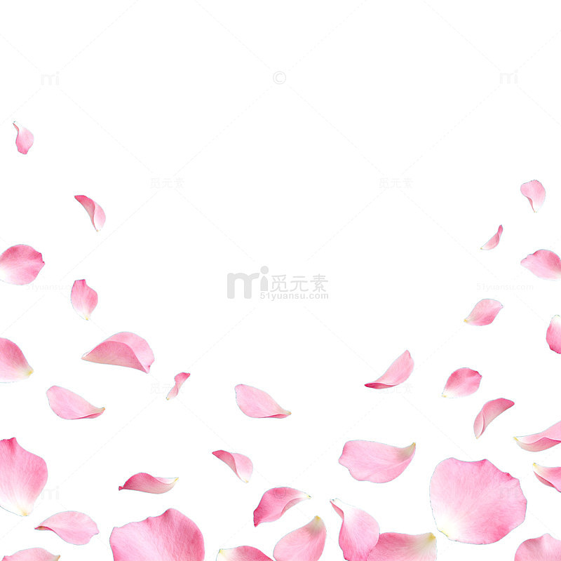 粉红花瓣飘落背景