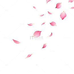 粉色花瓣飞舞浪漫背景