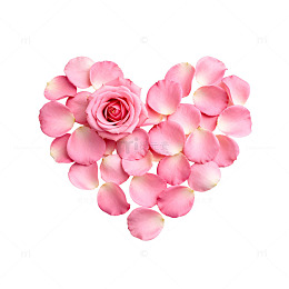 心形花瓣浪漫爱情