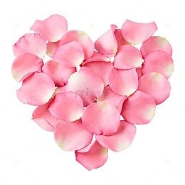 心形玫瑰花瓣浪漫装饰