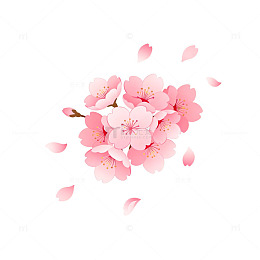 粉色樱花绽放矢量图