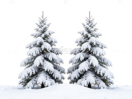 冬日雪景双松树壁纸