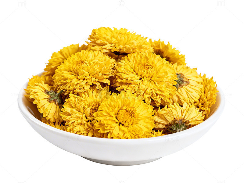 白瓷碗盛满金黄色菊花