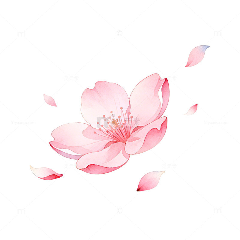 樱花粉色手绘插画元素