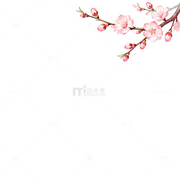淡雅樱花枝条插画背景