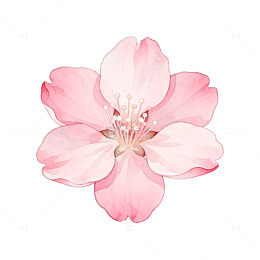 粉色樱花AI艺术插画