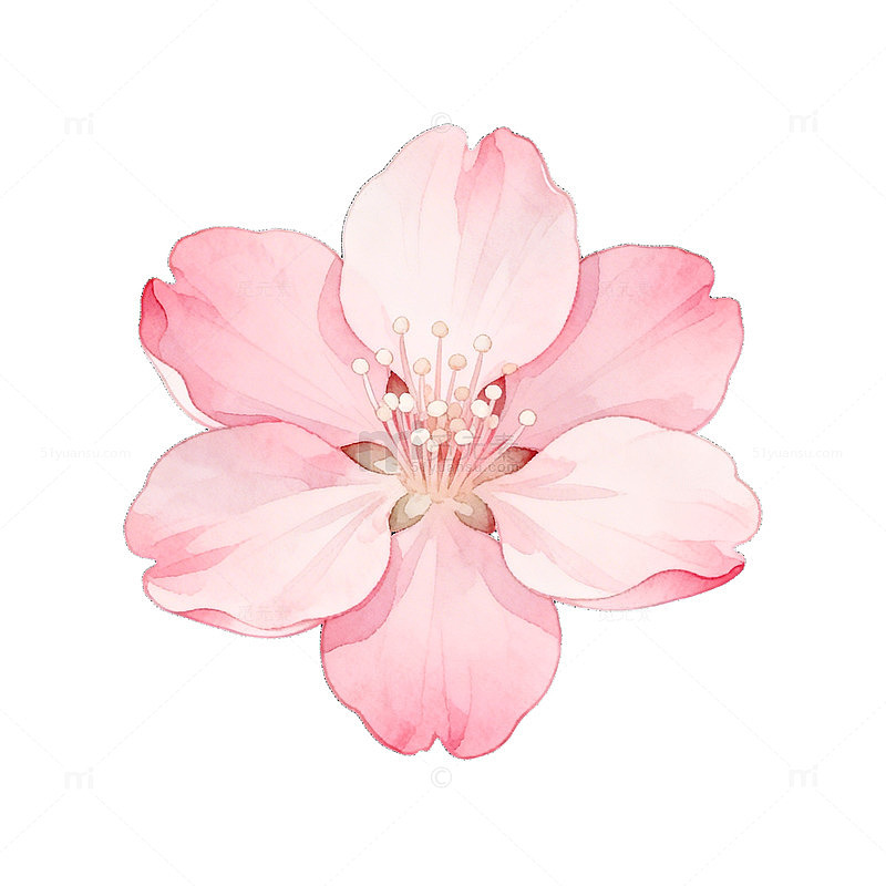 粉色樱花AI艺术插画