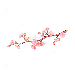 樱花枝插画设计素材