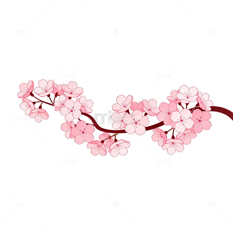 樱花盛开水彩画