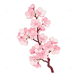 粉色樱花插画设计素材